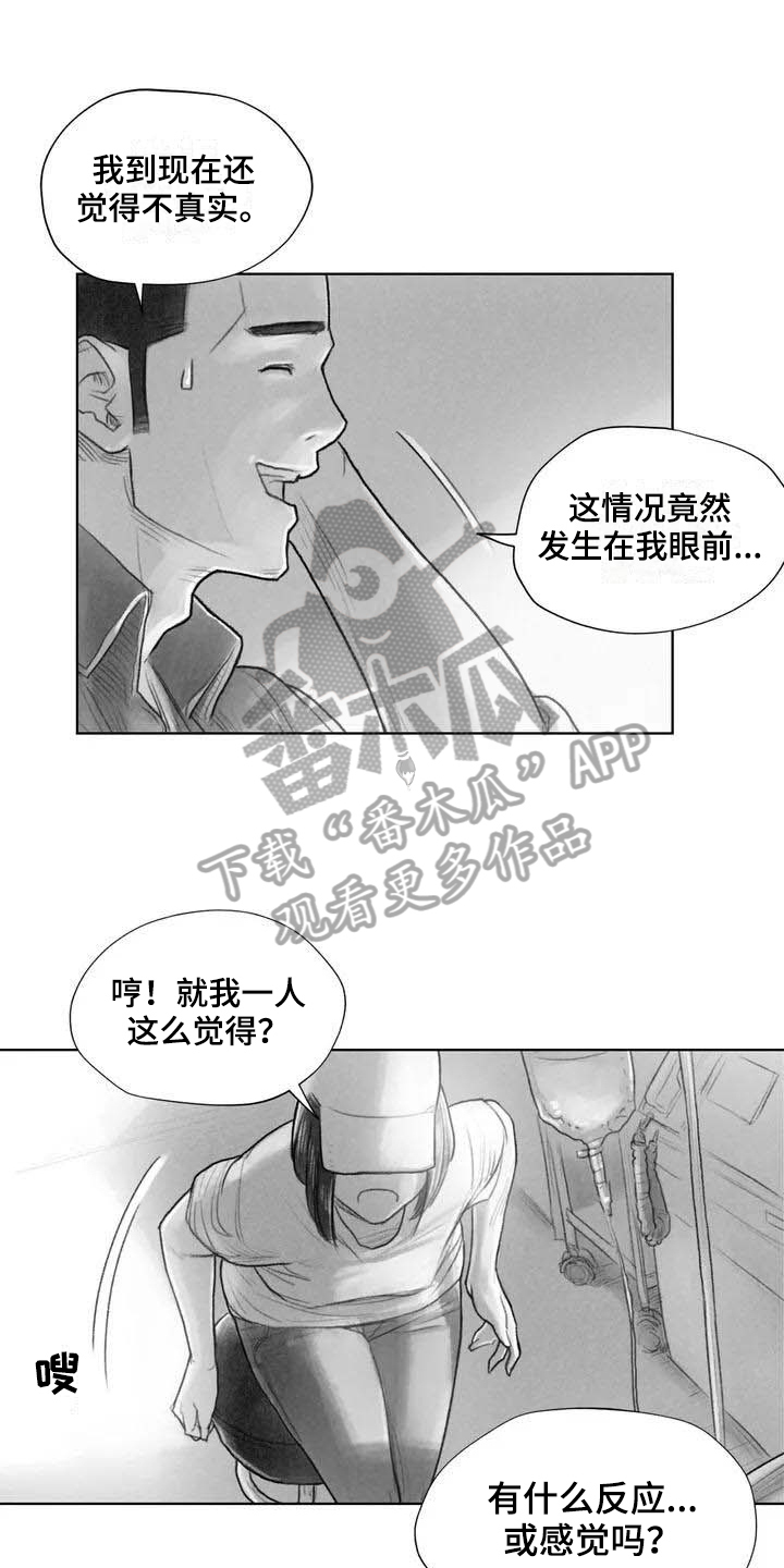 《断翼之歌》第18章因果关系 第1页