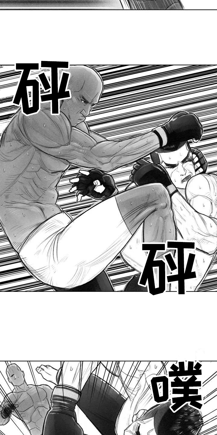 《断翼之歌》第1章拳击 第11页