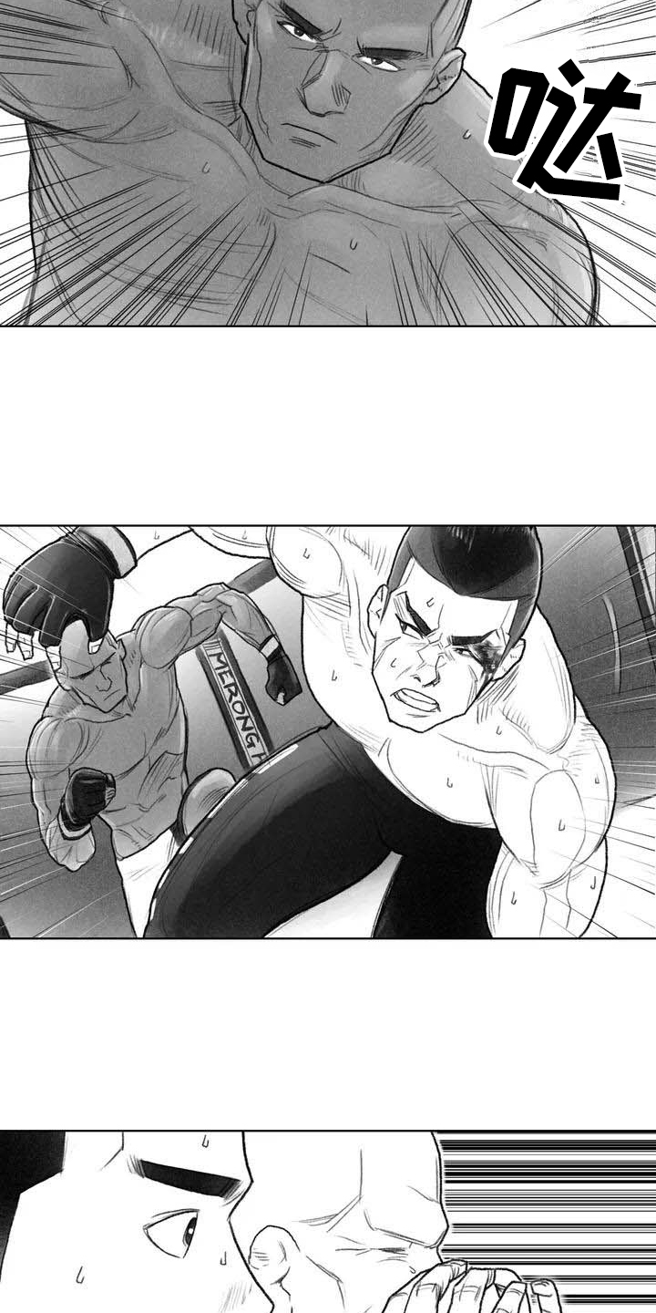 《断翼之歌》第1章拳击 第13页