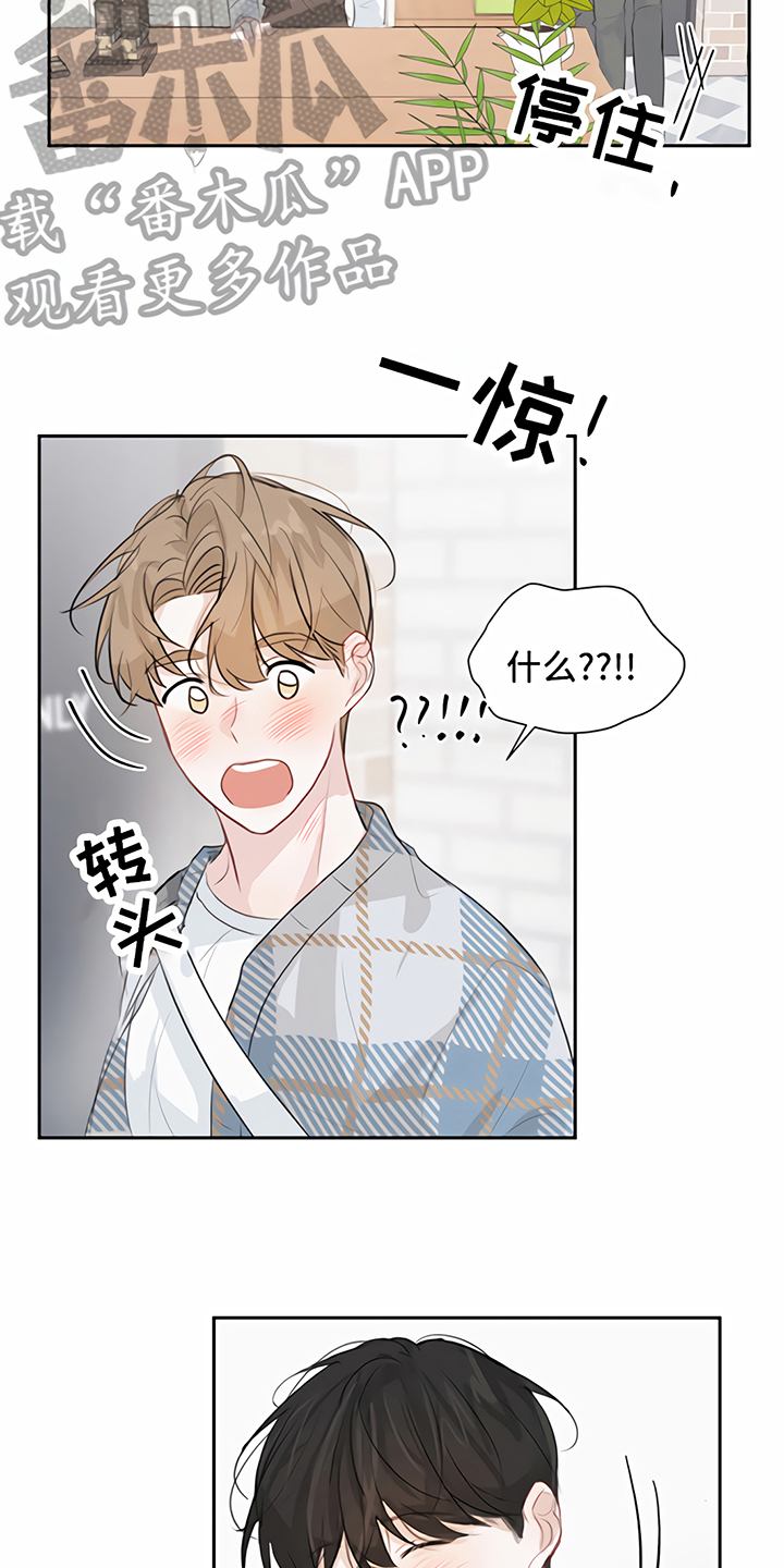 《一封情书》第13章回家【完结】 第13页