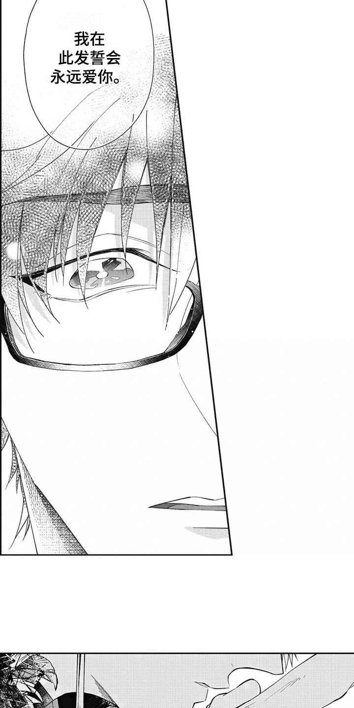《我和骑士在一起》第23章美景 第11页