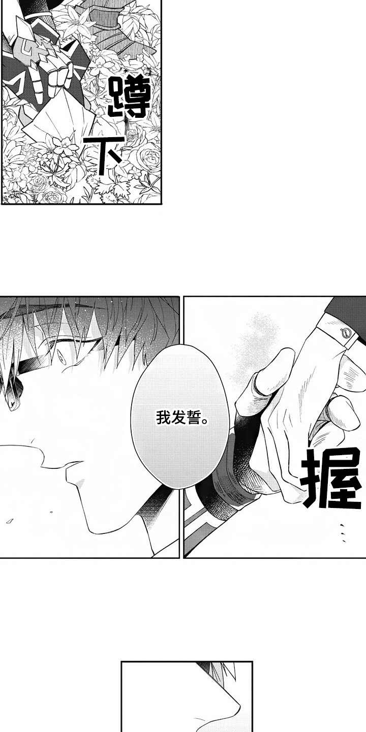 《我和骑士在一起》第23章美景 第5页