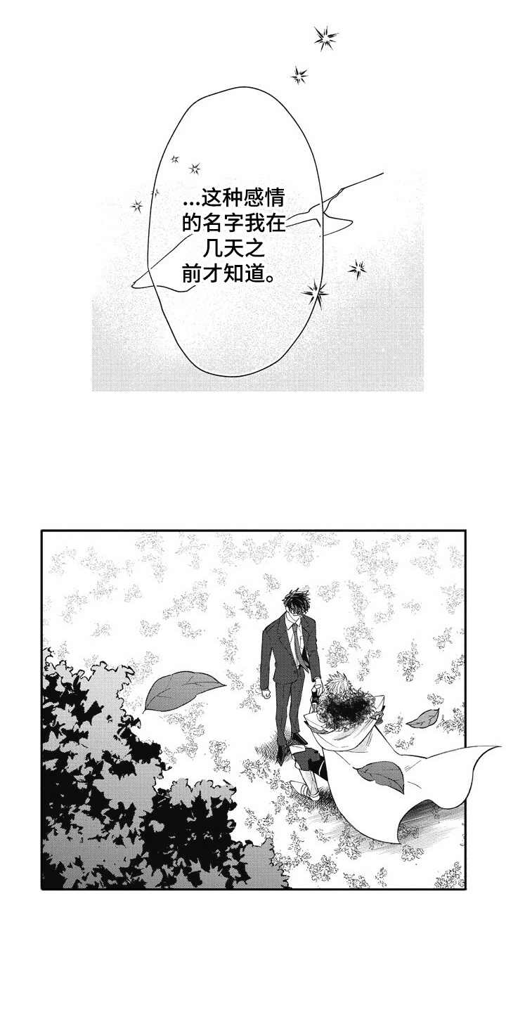 《我和骑士在一起》第23章美景 第9页