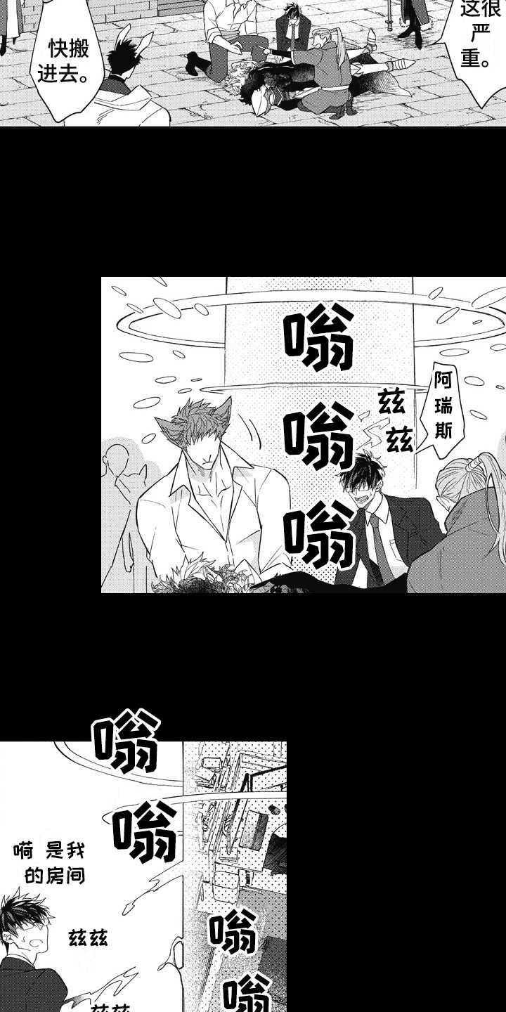 《我和骑士在一起》第15章像梦一般 第3页