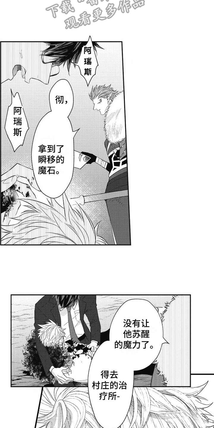 《我和骑士在一起》第14章挡刀 第12页
