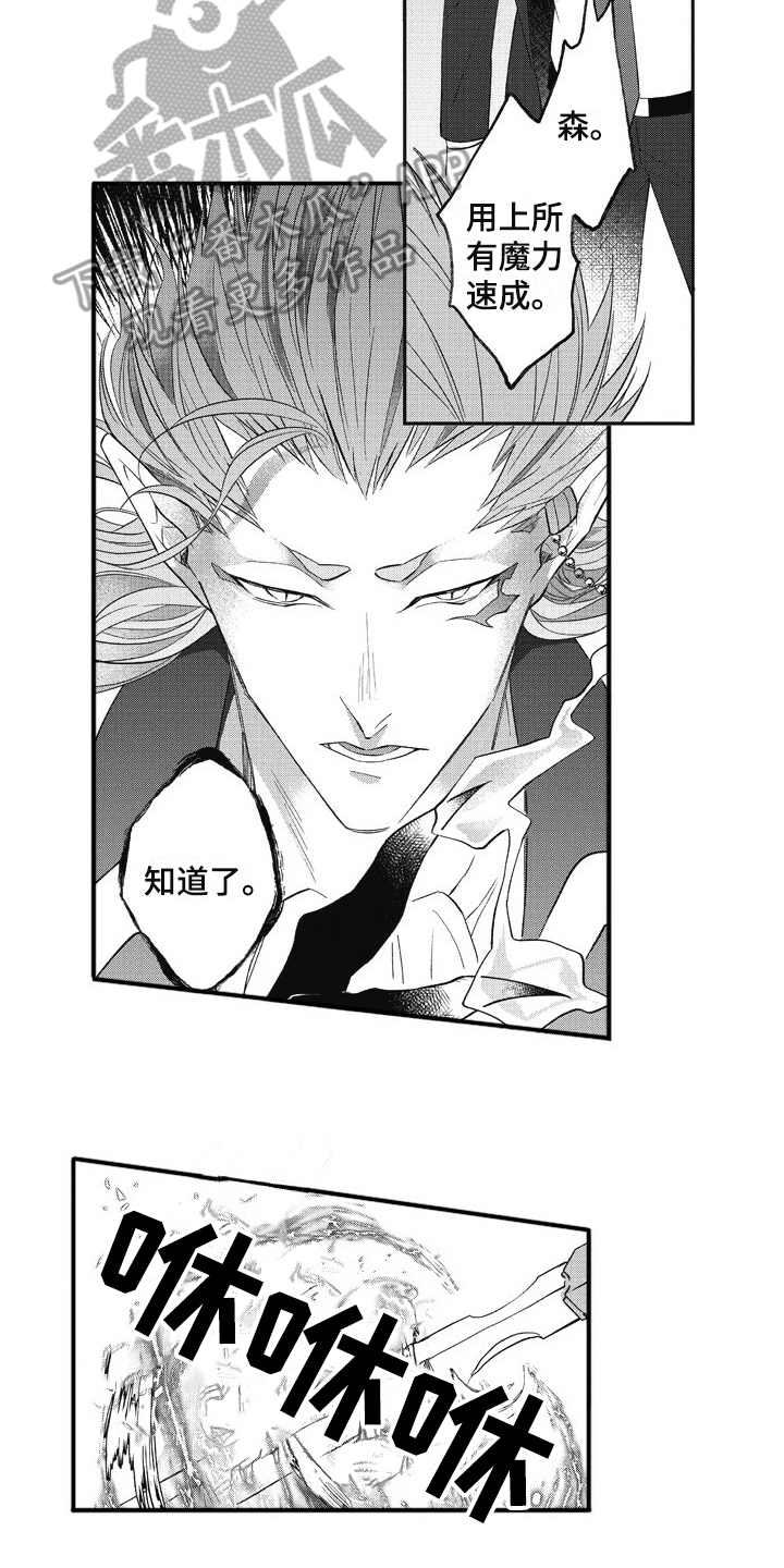 《我和骑士在一起》第14章挡刀 第2页