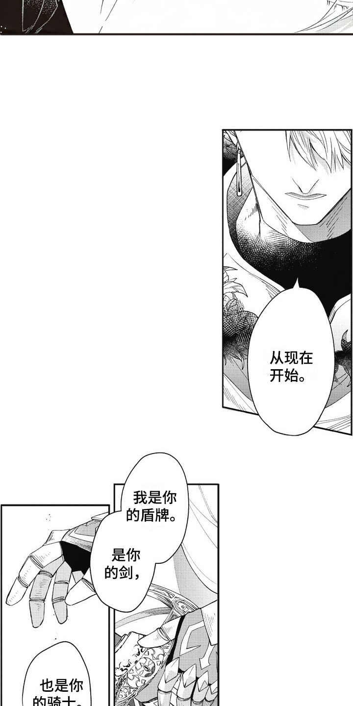 《我和骑士在一起》第2章创建角色 第12页