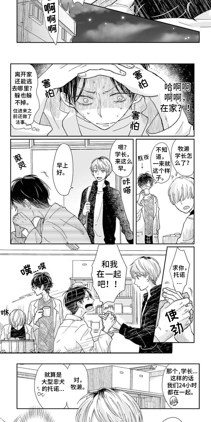 《我会摆脱鬼魂》第1章鬼魂 第8页