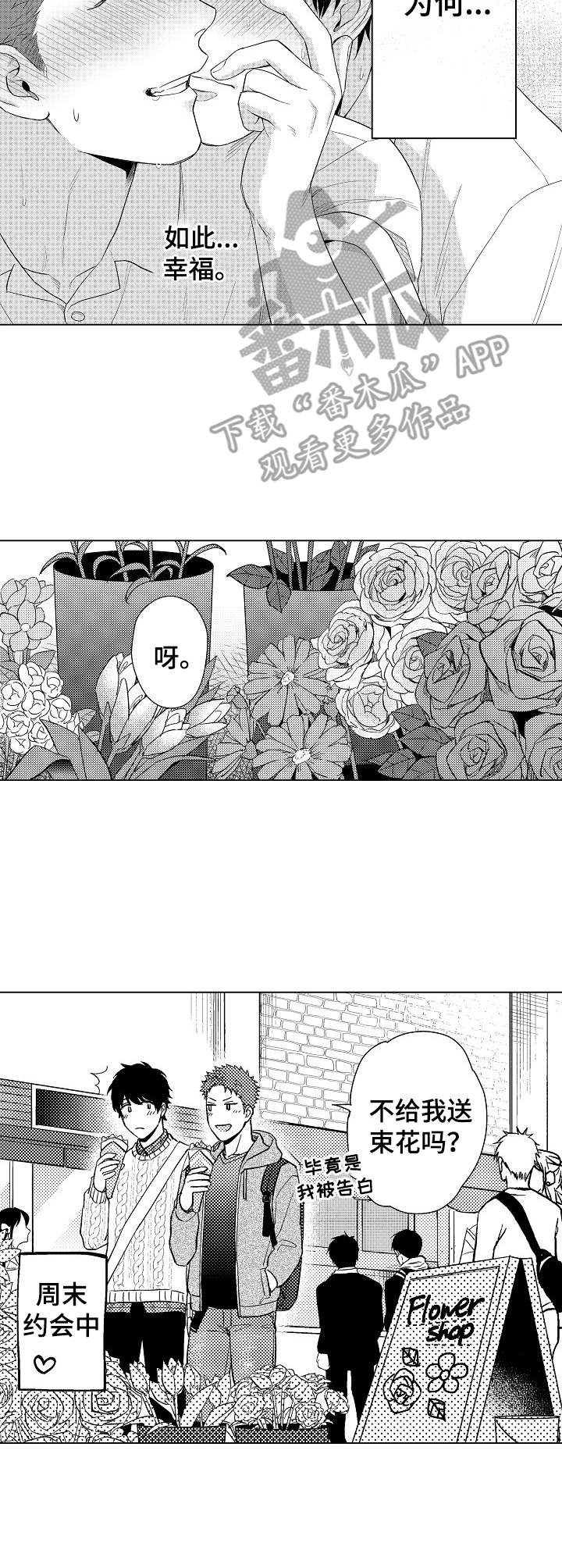 《意外告白》第20章如此幸福（完结） 第8页