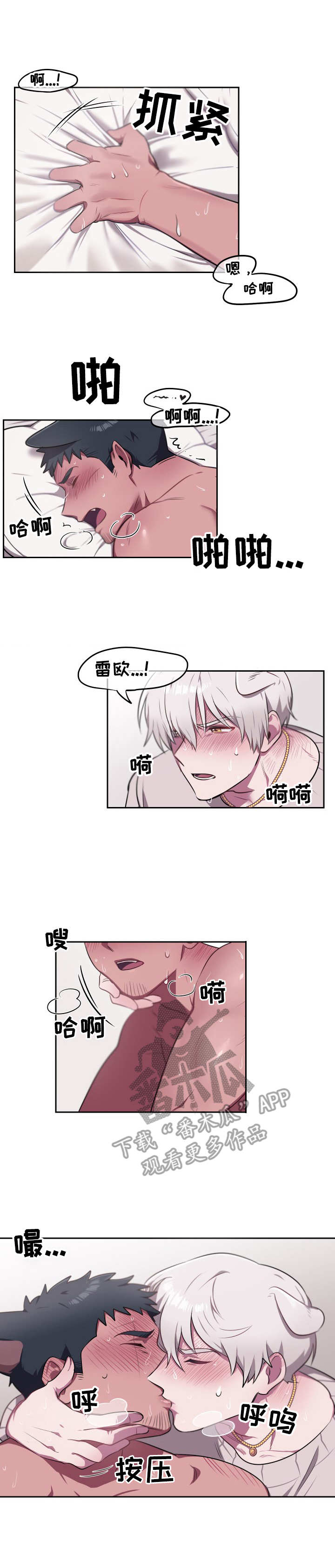 《阿旺阿喵》第12章宝物（完结） 第3页