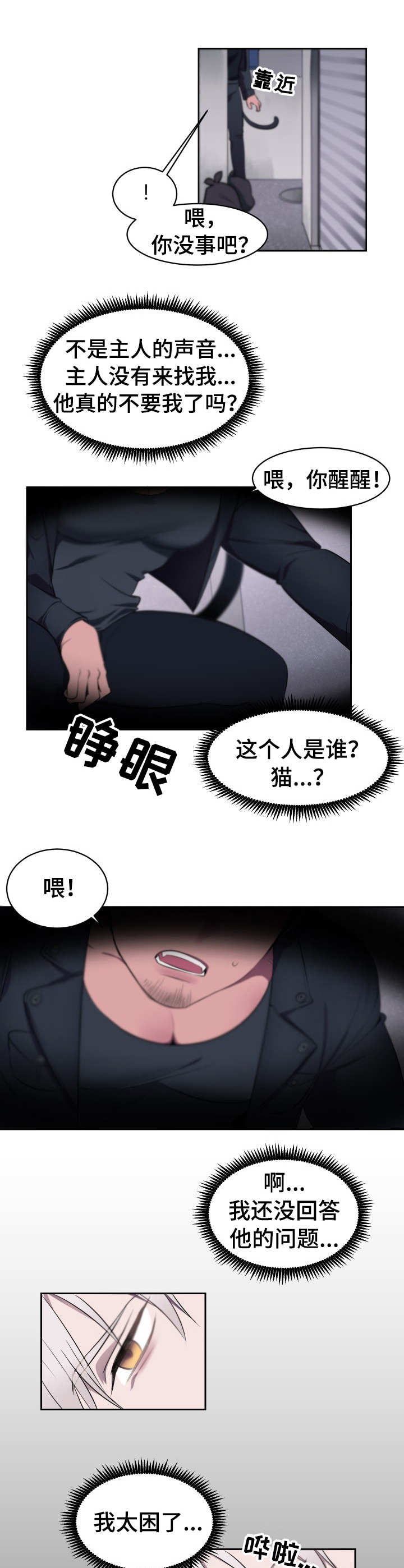 《阿旺阿喵》第1章遗弃 第3页