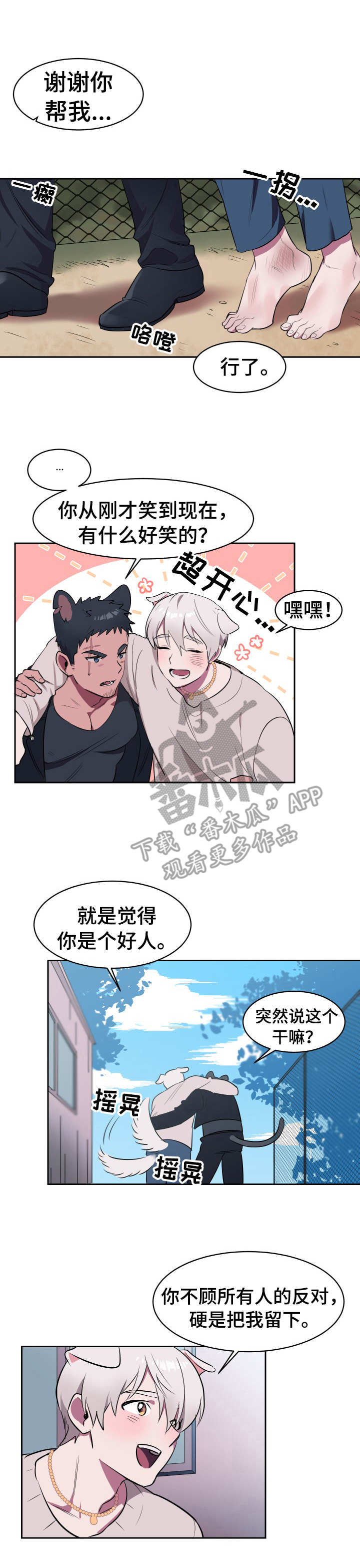 《阿旺阿喵》第2章收留 第1页