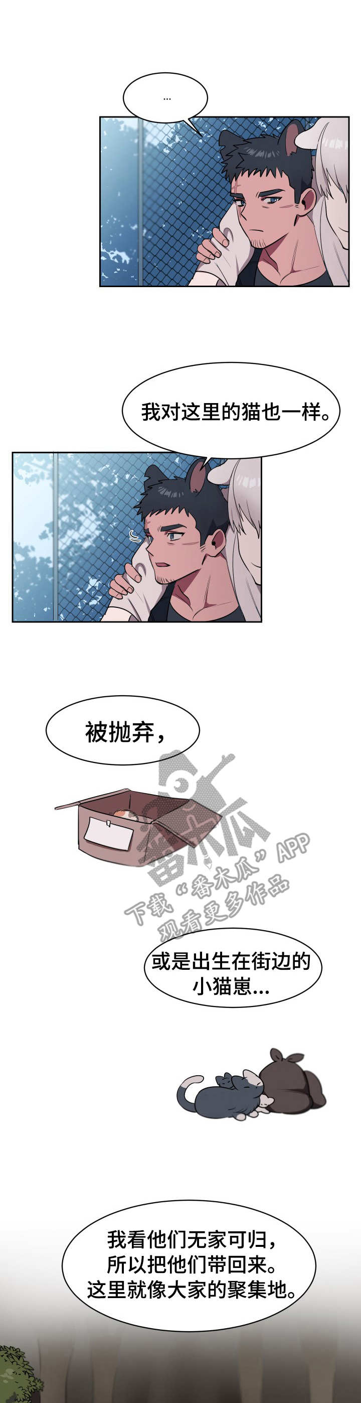 《阿旺阿喵》第2章收留 第2页
