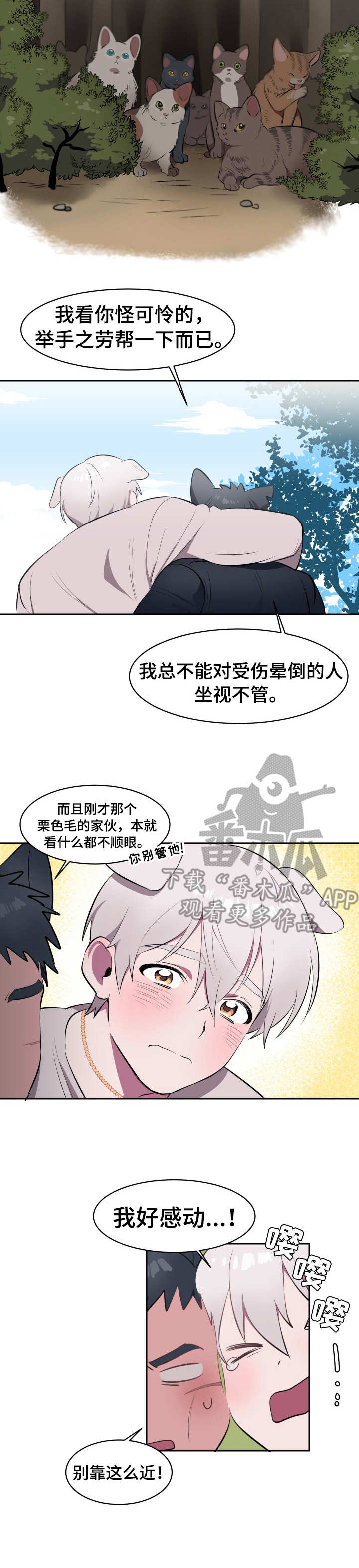 《阿旺阿喵》第2章收留 第3页