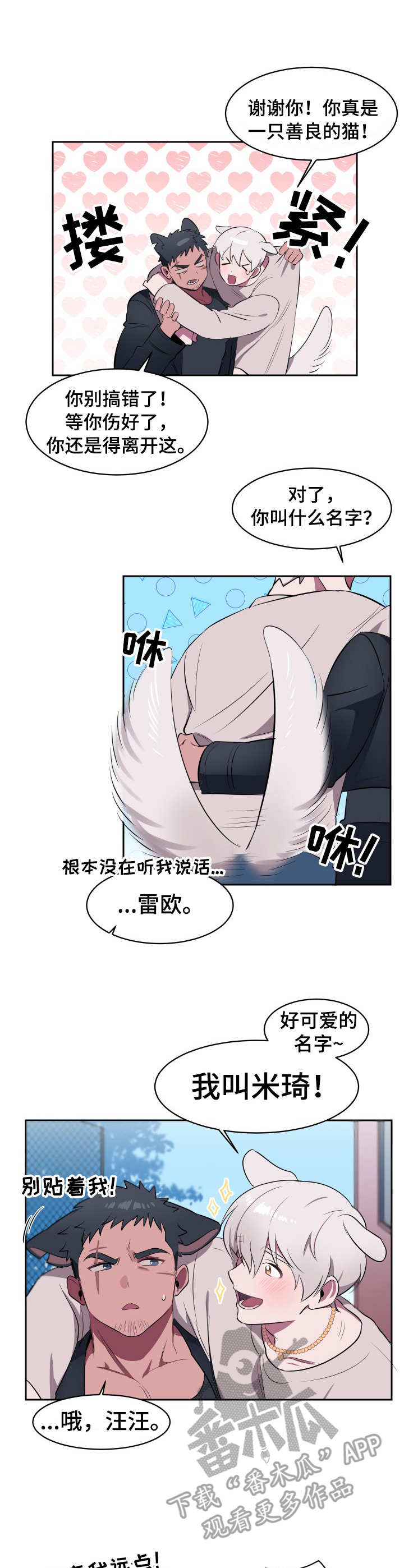 《阿旺阿喵》第2章收留 第4页