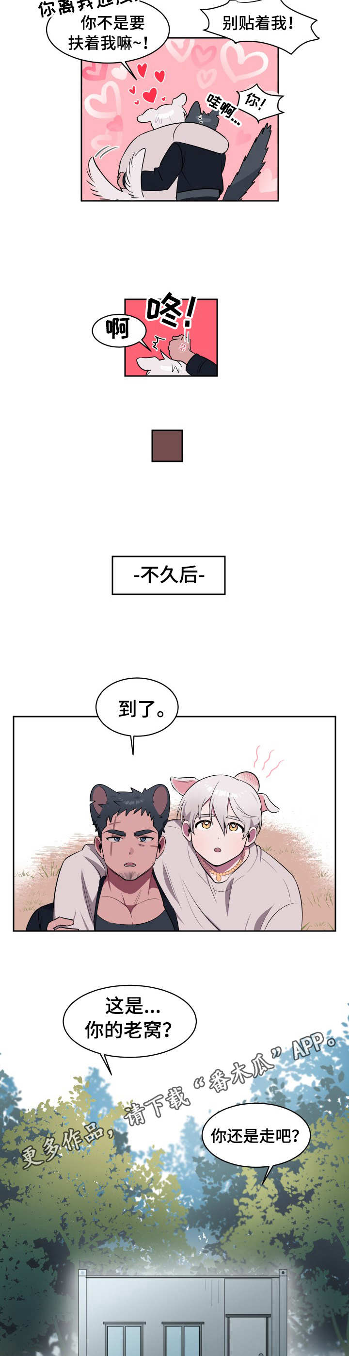 《阿旺阿喵》第2章收留 第5页