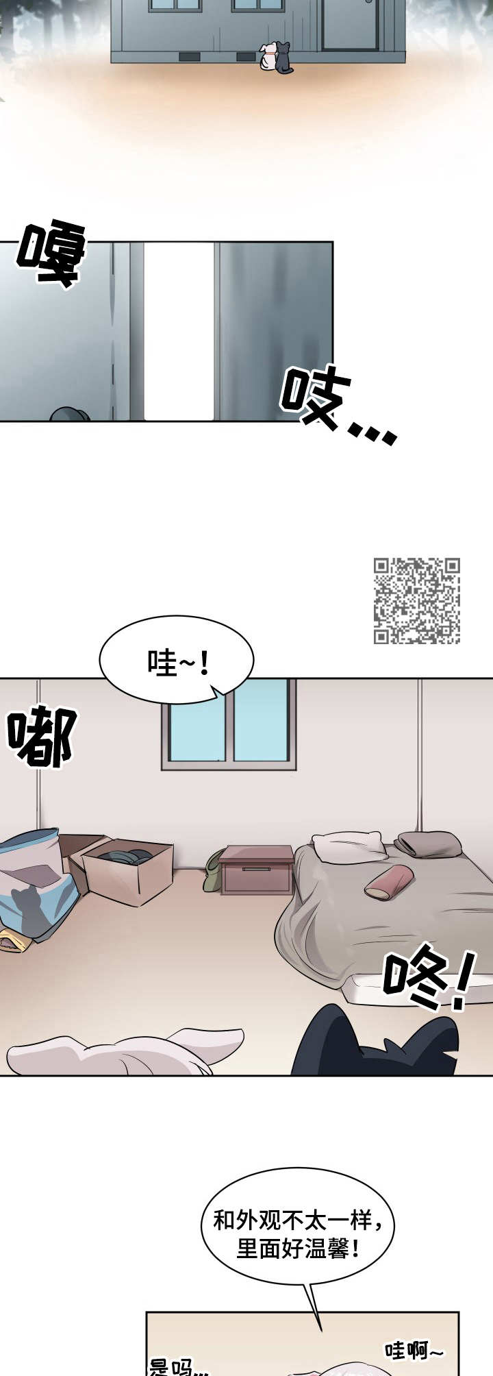 《阿旺阿喵》第2章收留 第6页