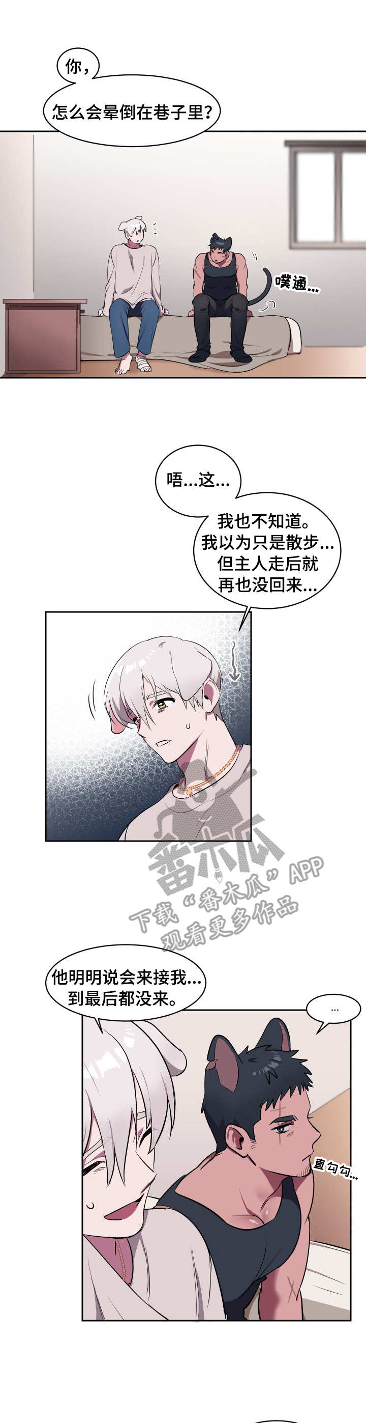 《阿旺阿喵》第2章收留 第9页
