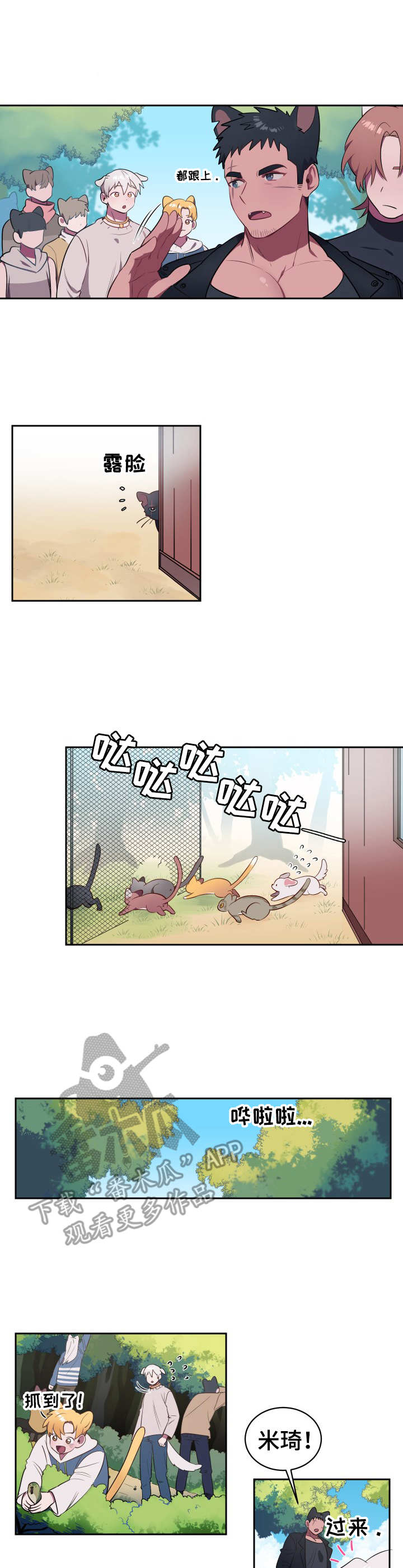 《阿旺阿喵》第3章寻找食物 第6页