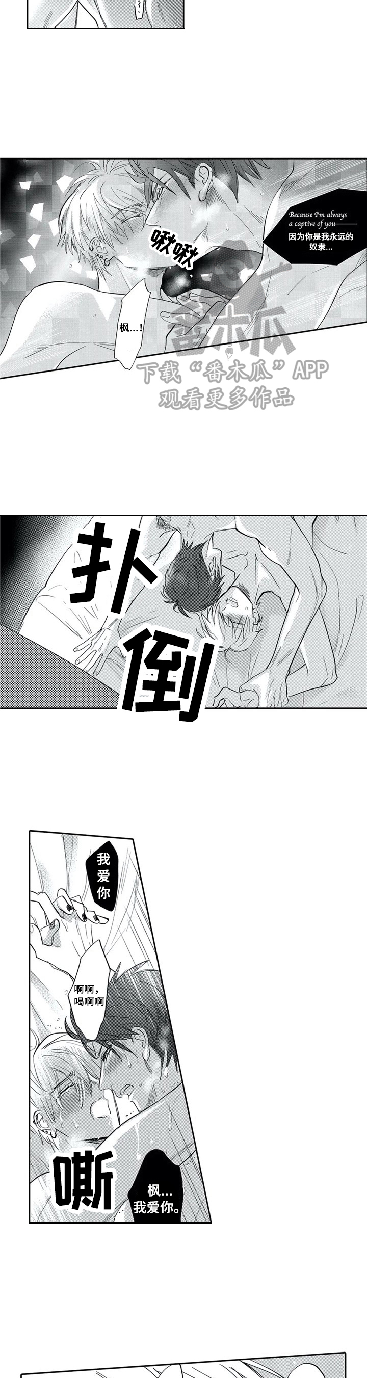 《保镖骑士》第29章带回家 第5页