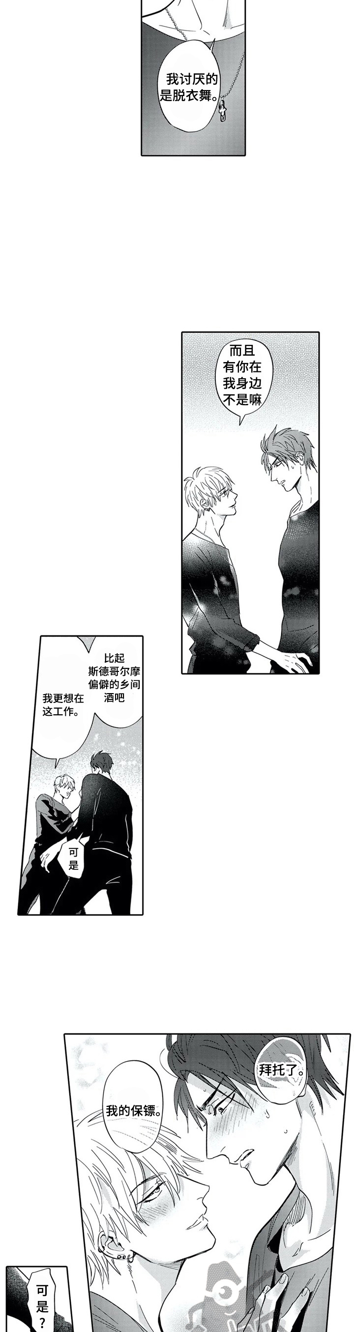 《保镖骑士》第27章同意 第6页