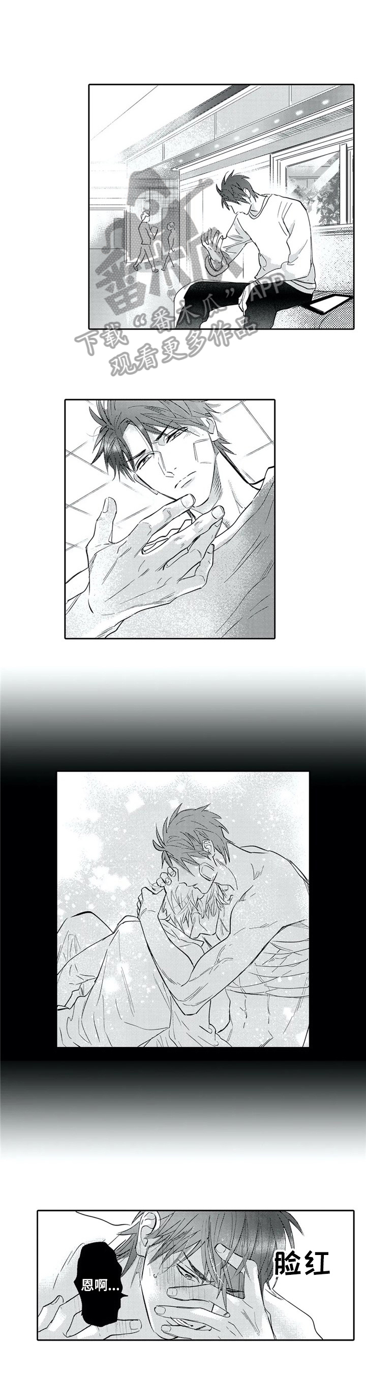 《保镖骑士》第12章期望 第1页