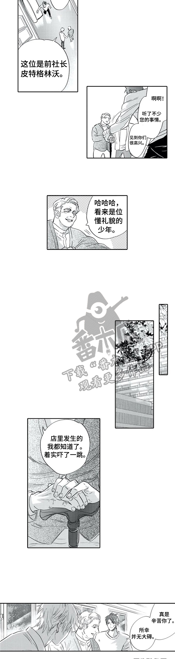 《保镖骑士》第12章期望 第3页