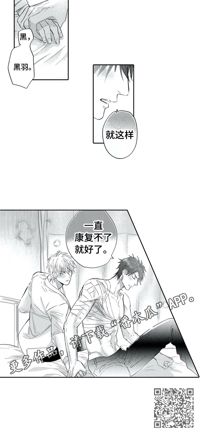 《保镖骑士》第12章期望 第7页