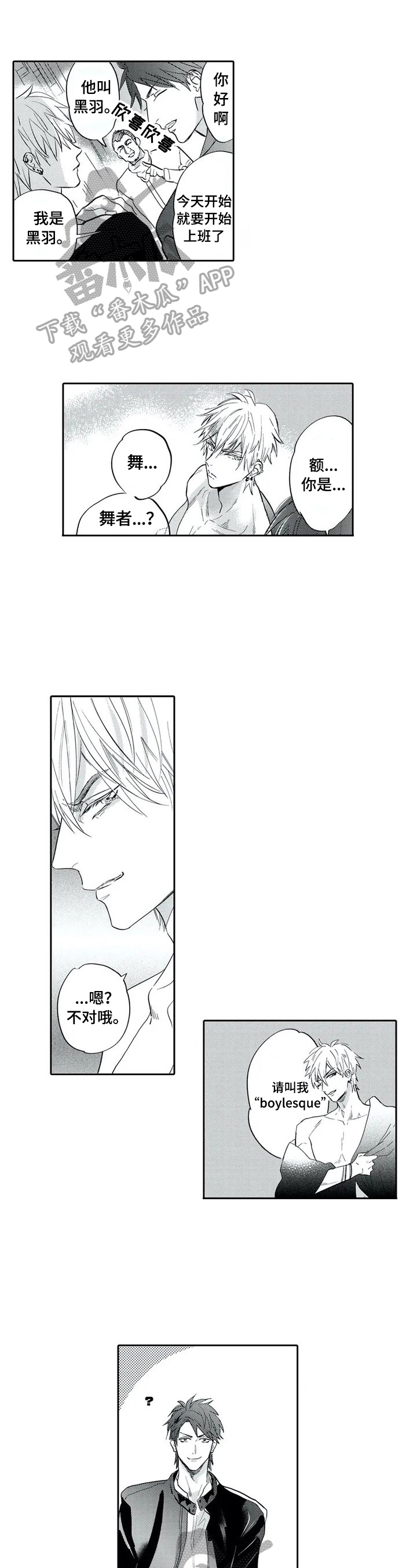 《保镖骑士》第2章很美 第1页