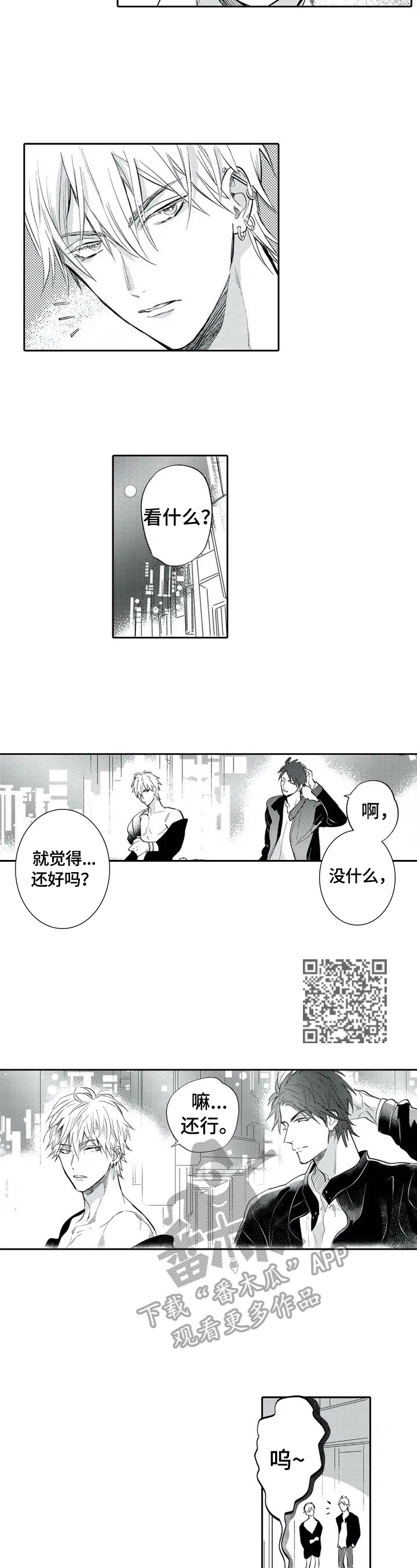 《保镖骑士》第2章很美 第3页