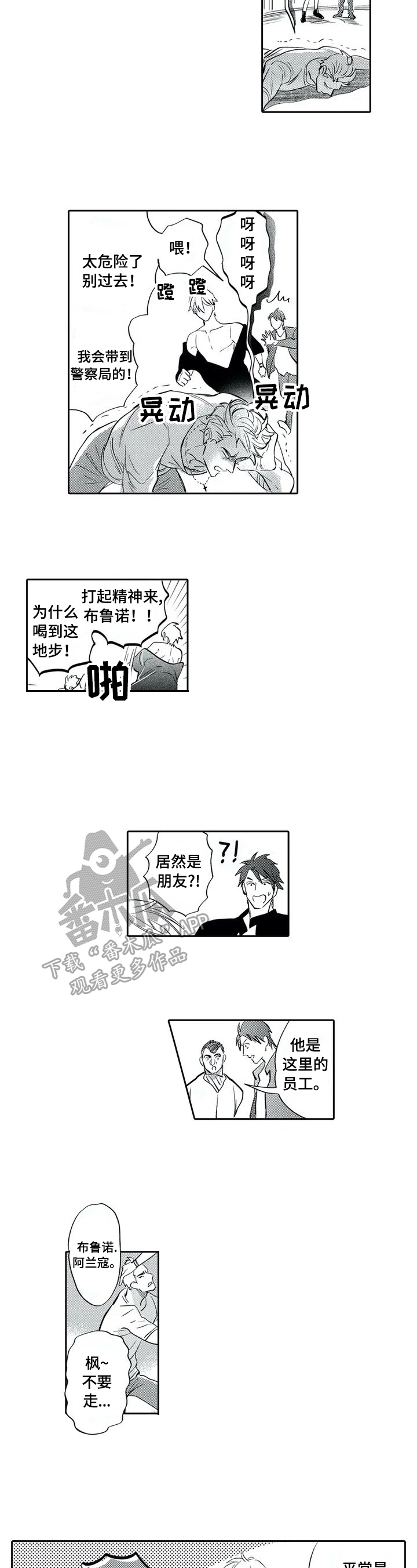 《保镖骑士》第2章很美 第4页