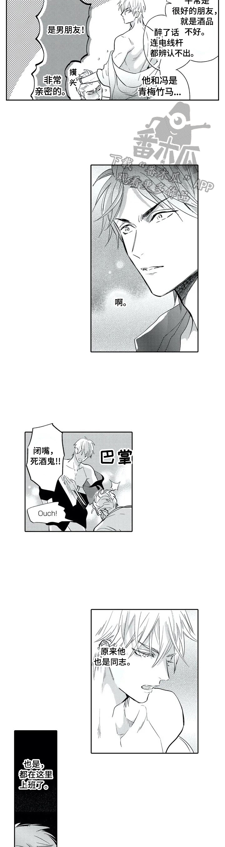 《保镖骑士》第2章很美 第5页