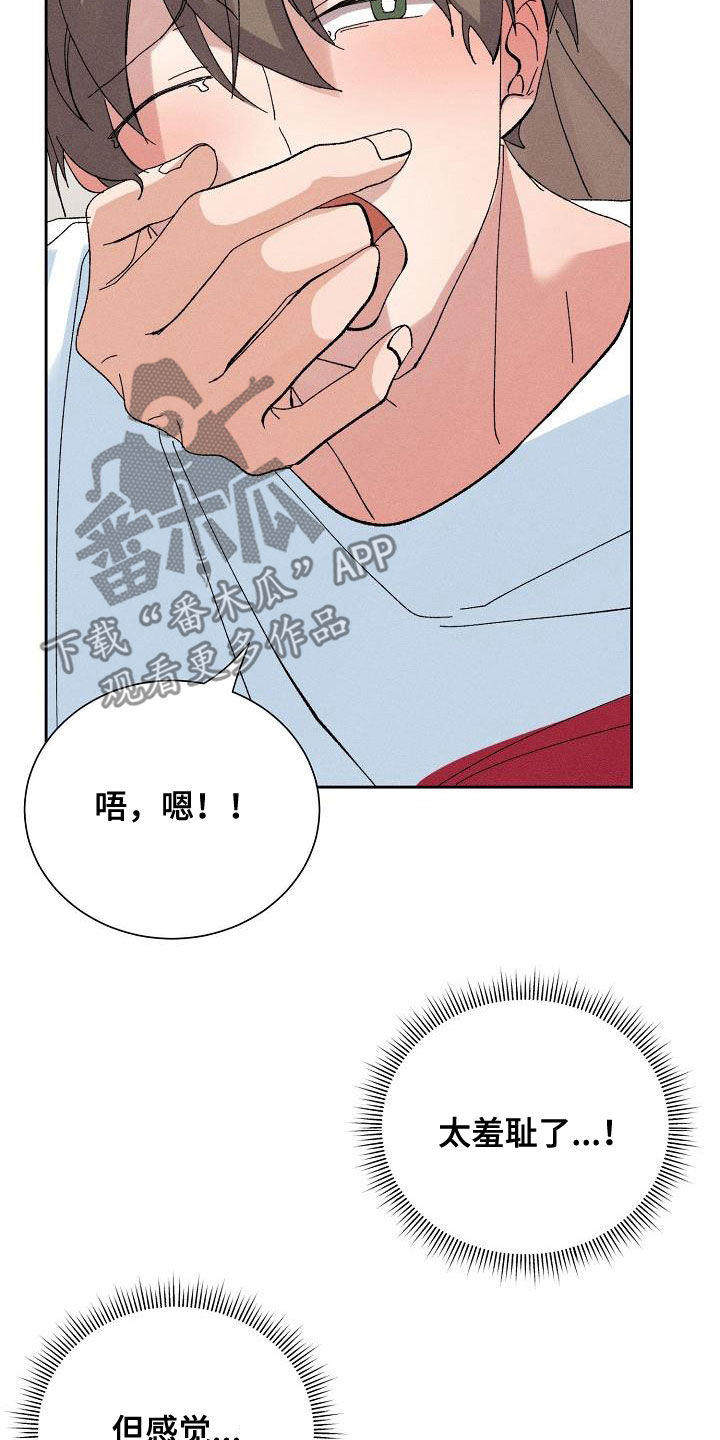 《失忆陷阱》第54章【番外完结】没有下次！ 第14页