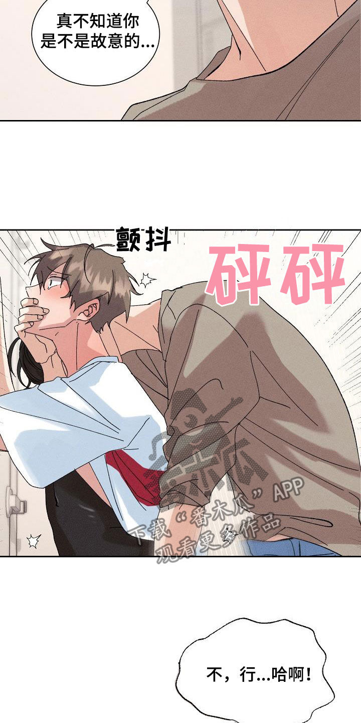 《失忆陷阱》第54章【番外完结】没有下次！ 第16页