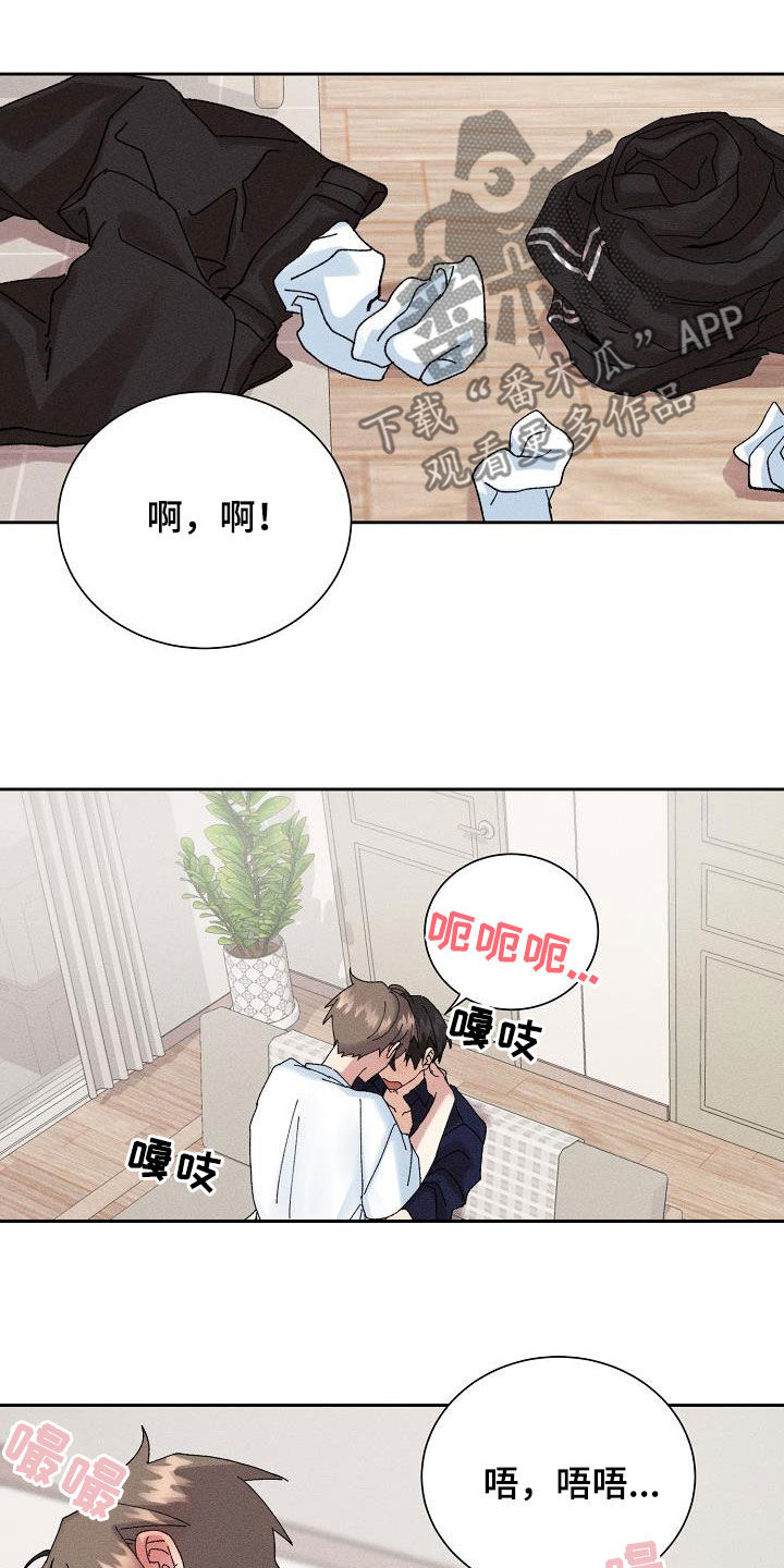 《失忆陷阱》第52章【番外】幸福 第5页