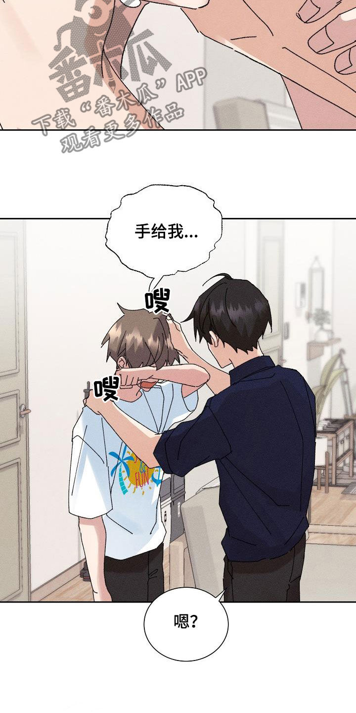 《失忆陷阱》第51章【番外】不会变少 第17页