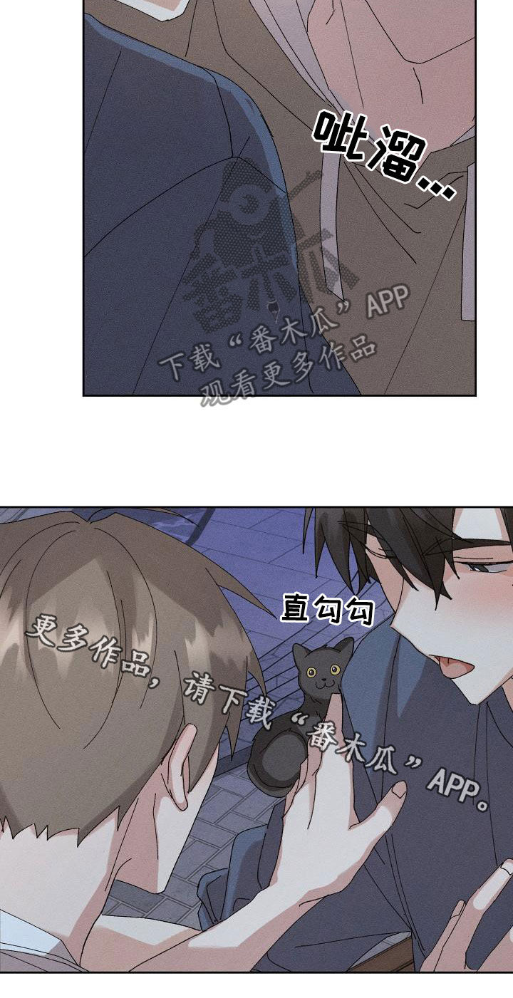 《失忆陷阱》第47章【番外】喝醉 第20页