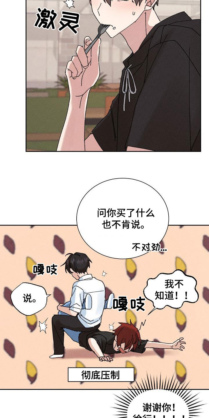 《失忆陷阱》第43章【番外】准备惊喜 第8页