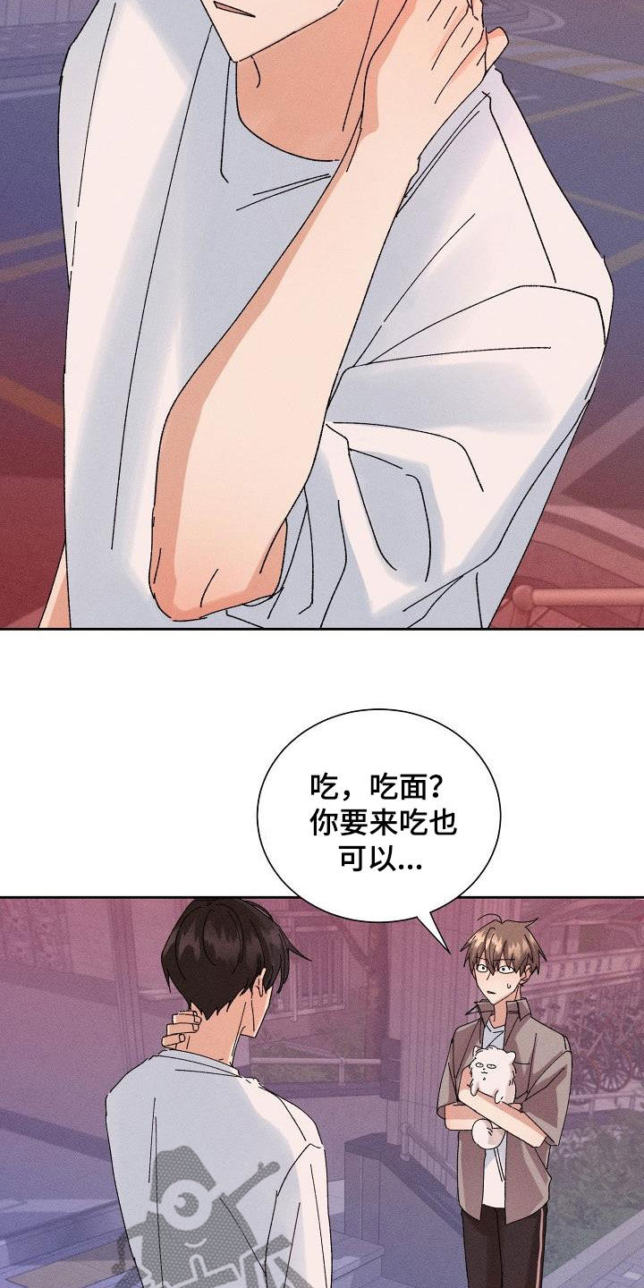 《失忆陷阱》第40章脱困 第19页