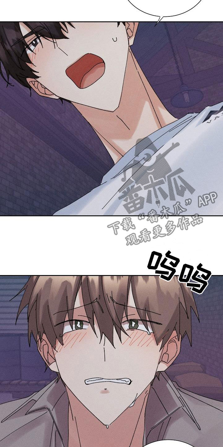 《失忆陷阱》第39章心意 第11页