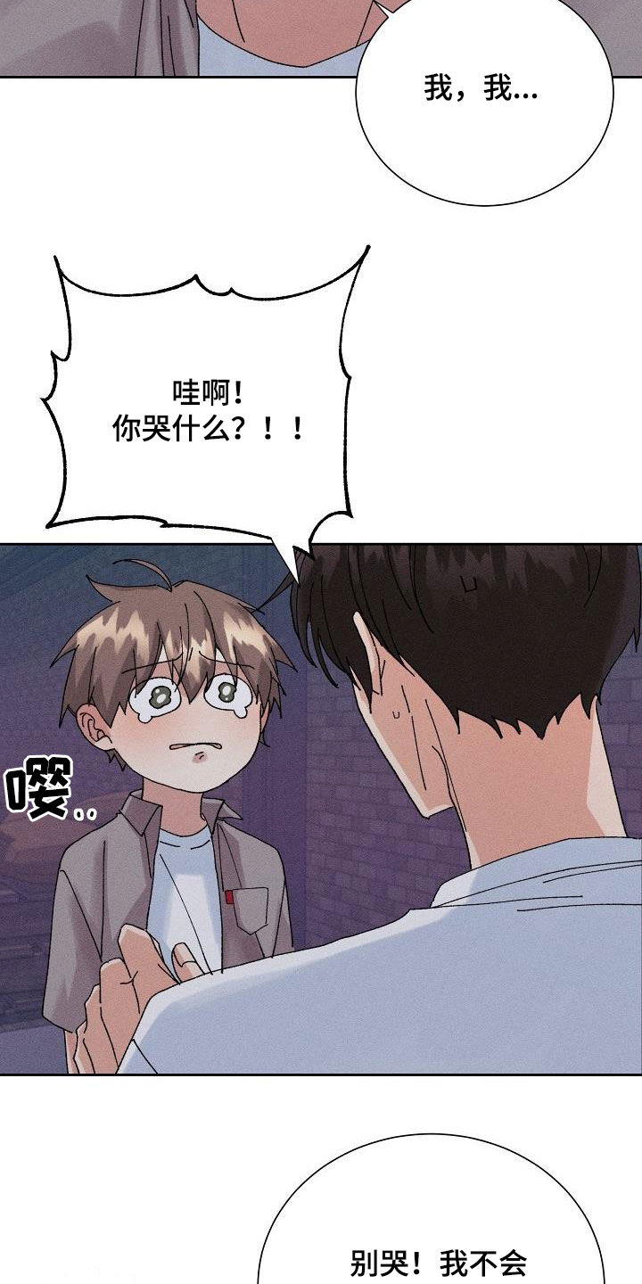 《失忆陷阱》第39章心意 第12页