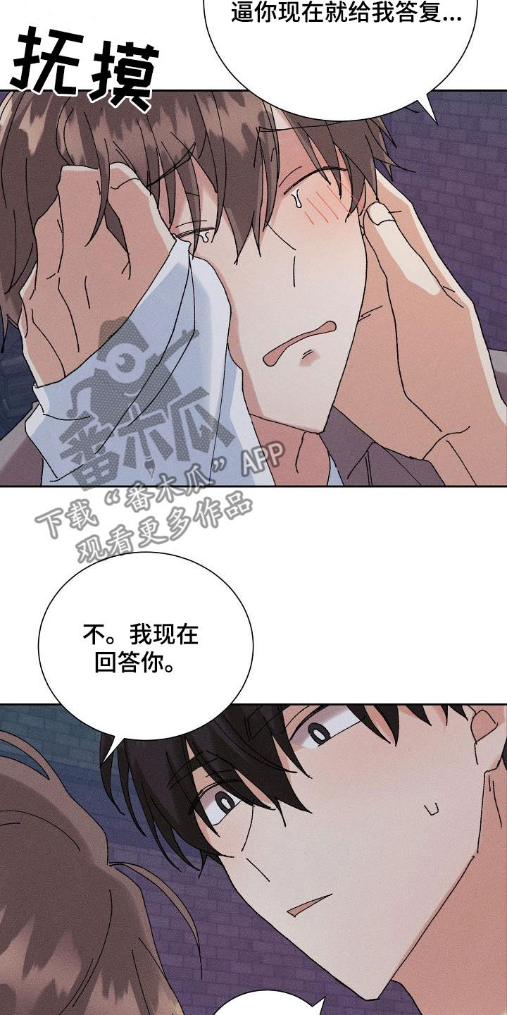 《失忆陷阱》第39章心意 第13页