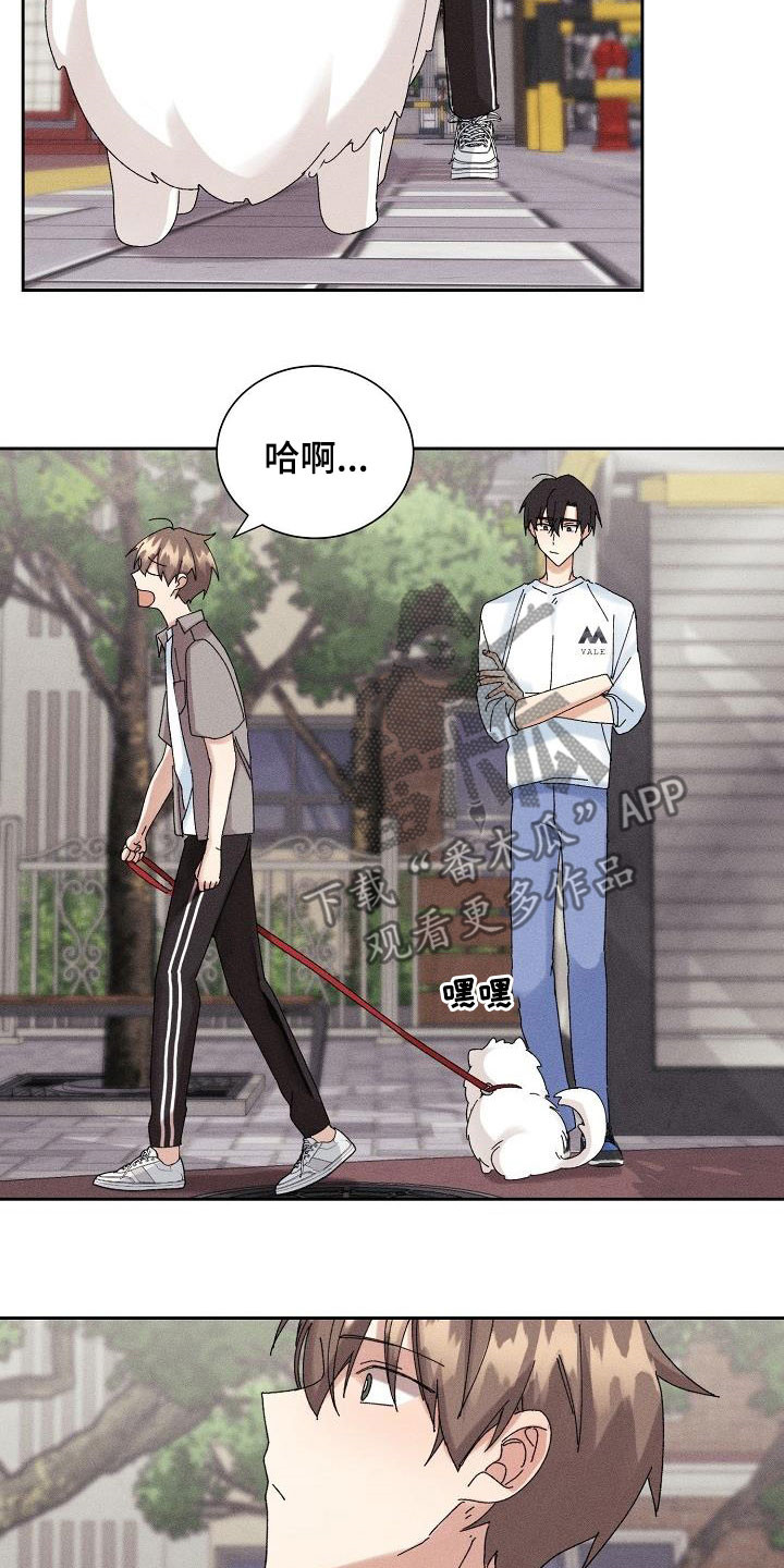 《失忆陷阱》第34章你听我解释 第10页