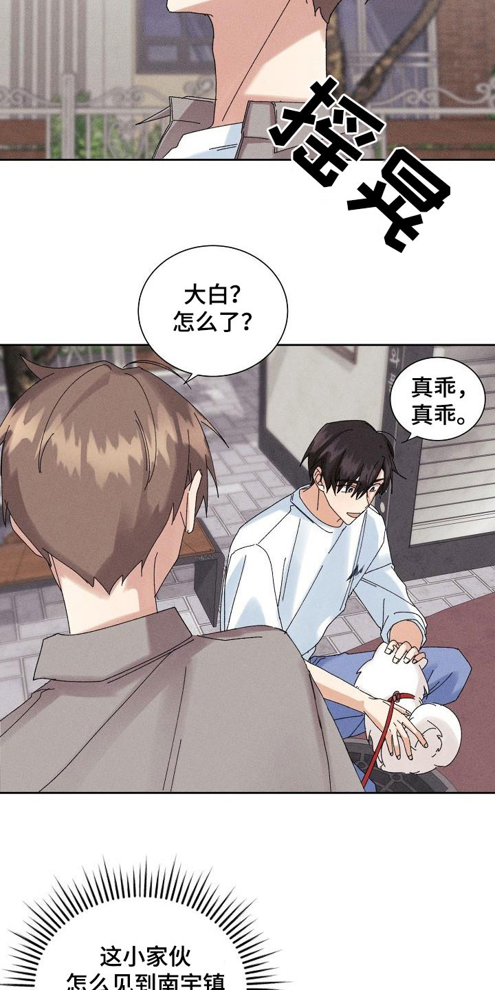 《失忆陷阱》第34章你听我解释 第11页