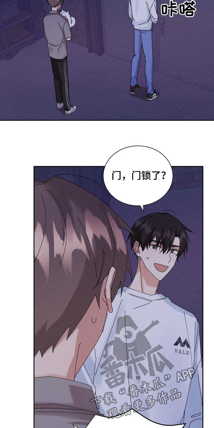 《失忆陷阱》第35章被困 第12页