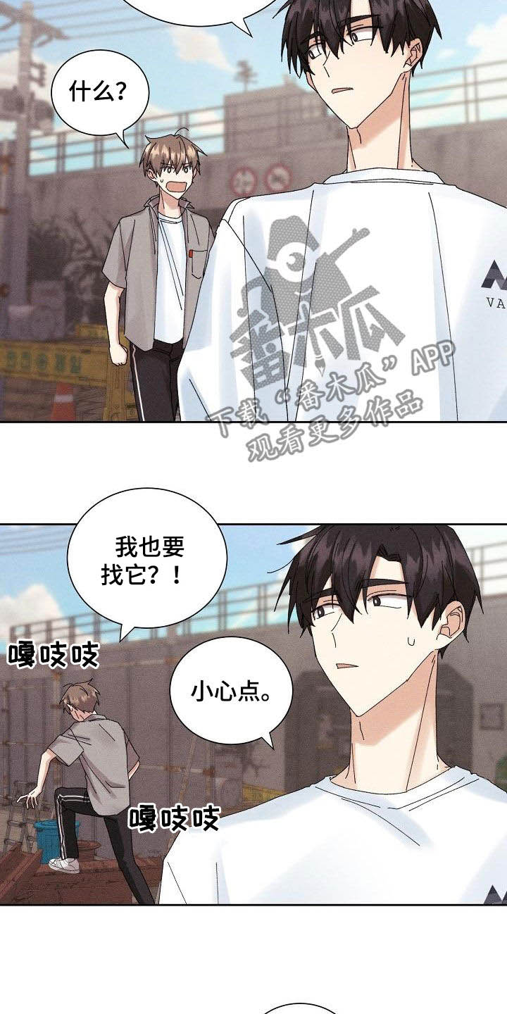 《失忆陷阱》第35章被困 第5页