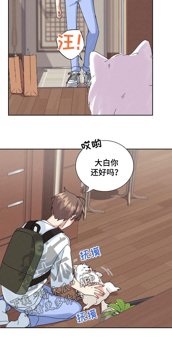 《失忆陷阱》第31章有喜欢的人 第6页