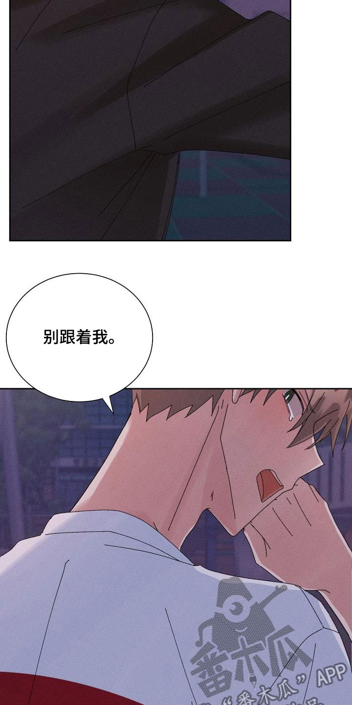 《失忆陷阱》第33章不喜欢你了 第11页
