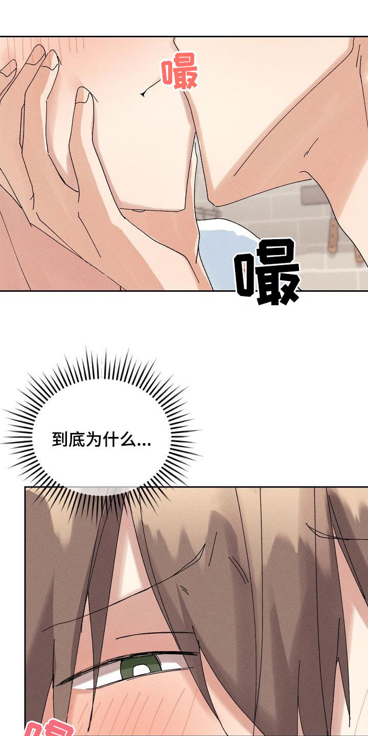 《失忆陷阱》第29章化为泡影 第15页