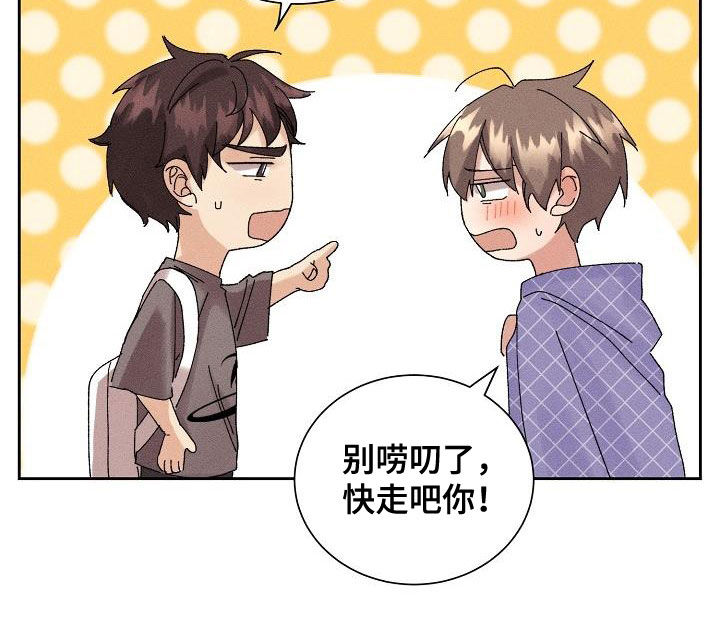 《失忆陷阱》第28章生病 第12页